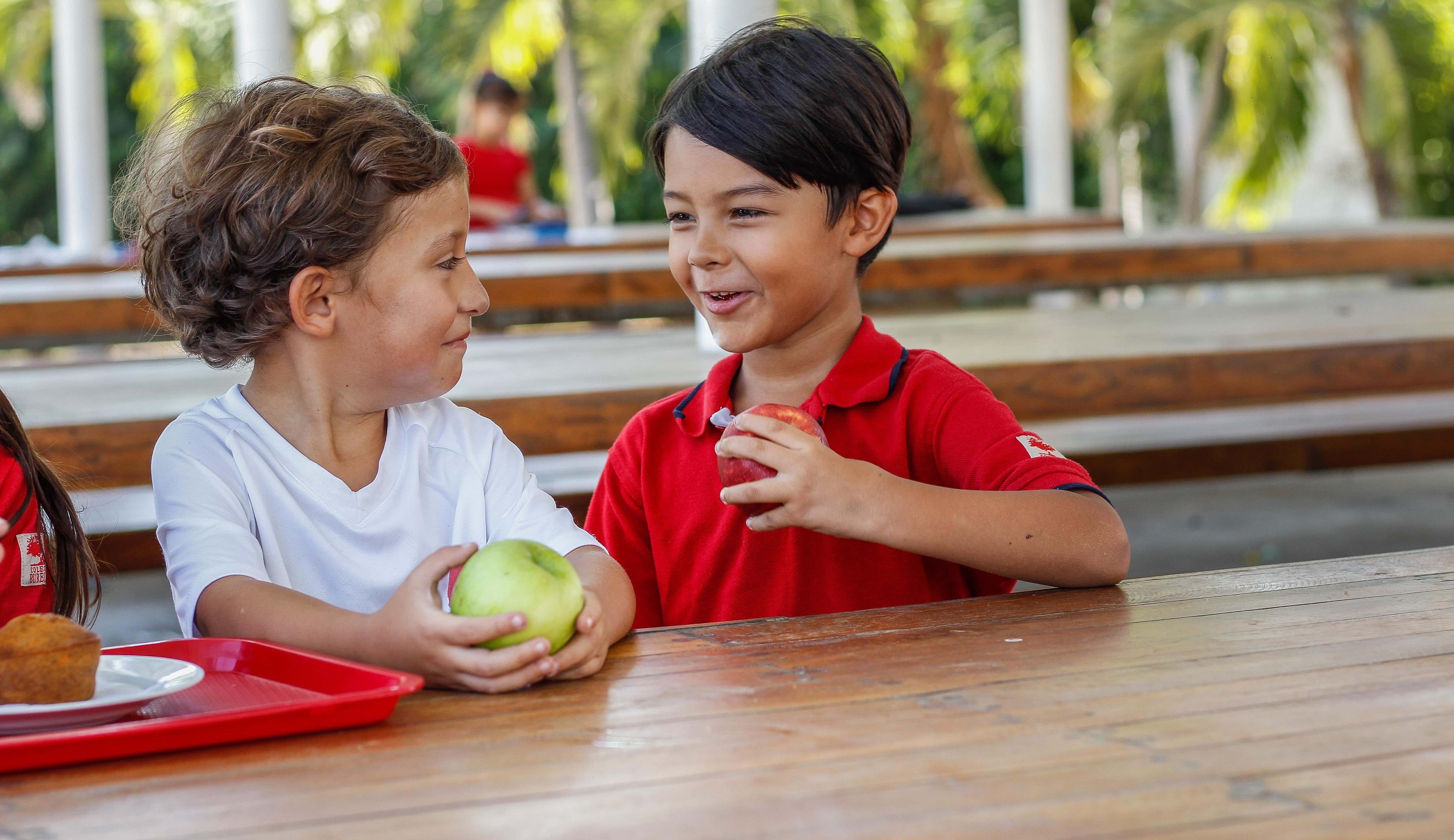 actividades didacticas para niños sobre los alimentos
